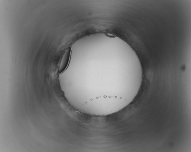 X0000112540914200909071418