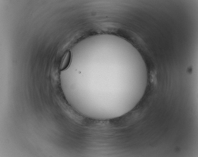 X0000112540915200909071418