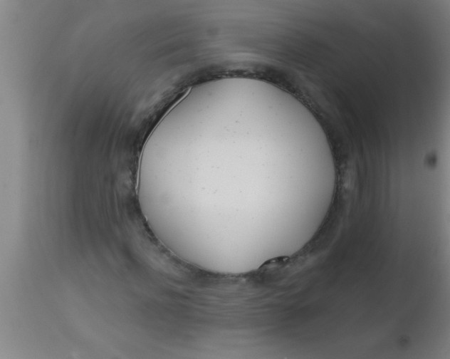 X0000112540916200909071418