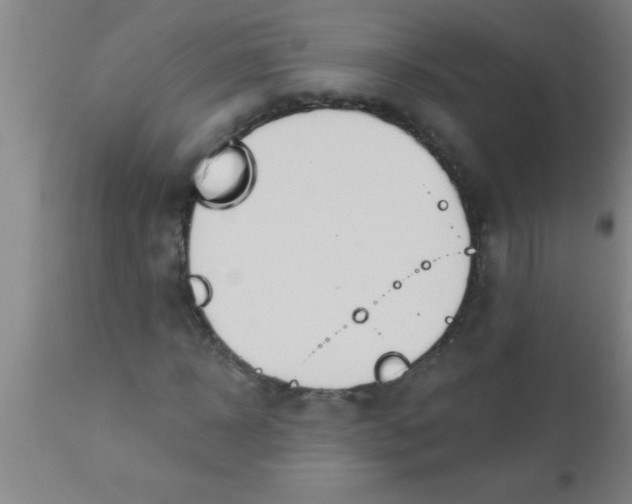 X0000112540918200909071418