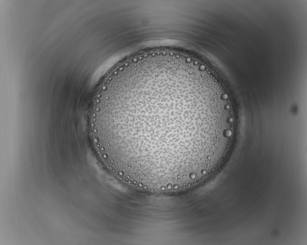 X0000112540921200909071418