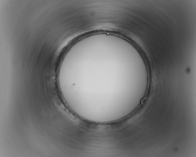 X0000112540923200909071418