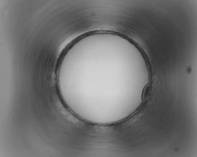 X0000112540928200909071418
