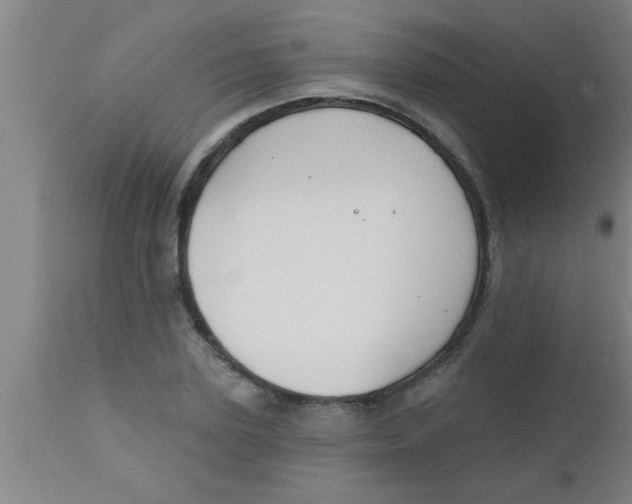 X0000112540931200909071418