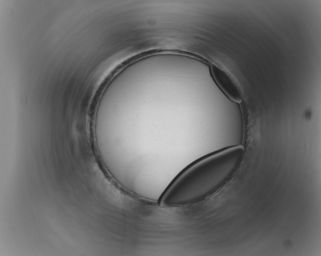 X0000112540932200909071418