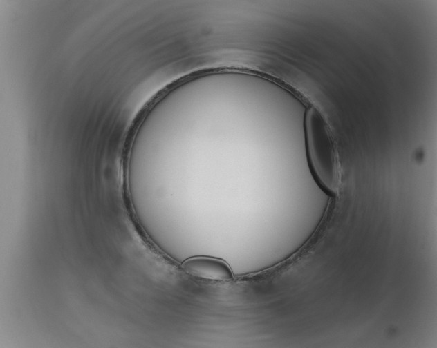X0000112540936200909071418