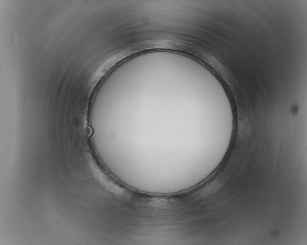 X0000112540938200909071418