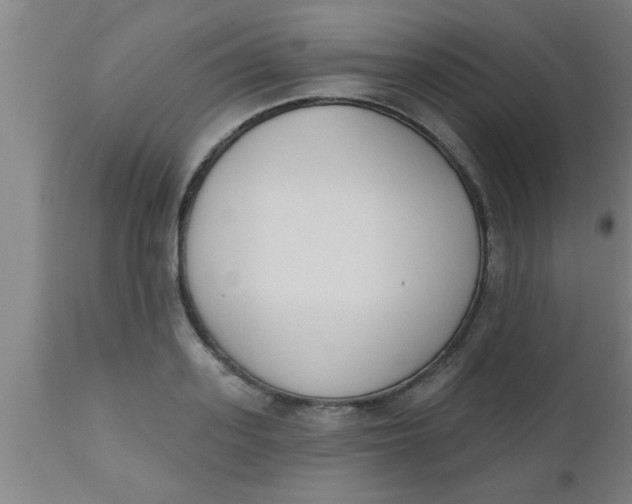 X0000112540939200909071418