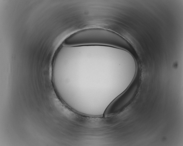X0000112540940200909071418