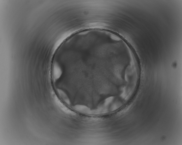 X0000112540941200909071418