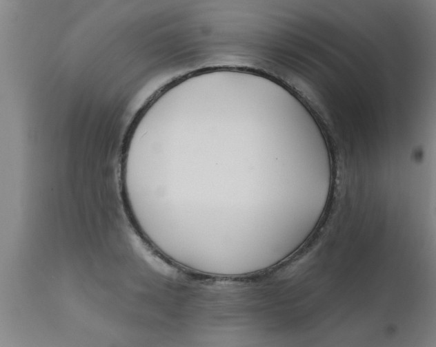 X0000112540942200909071418