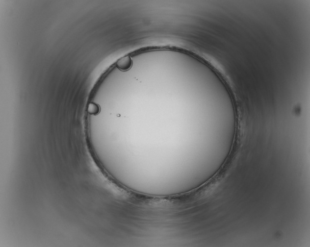 X0000112540943200909071418