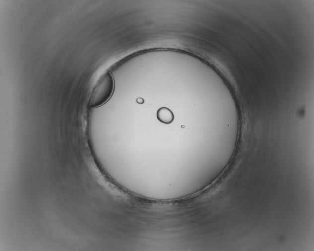 X0000112540944200909071418