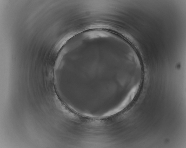 X0000112540945200909071418