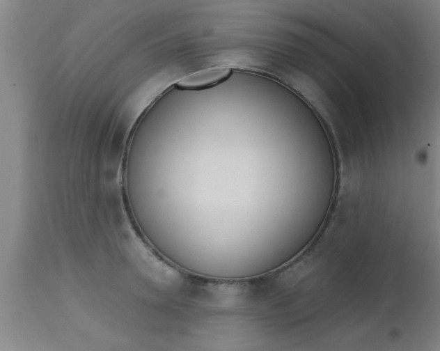 X0000112540946200909071418