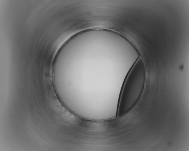 X0000112540948200909071418