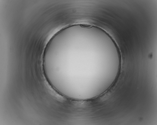 X0000112540949200909071418