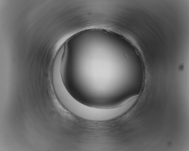 X0000112540952200909071418