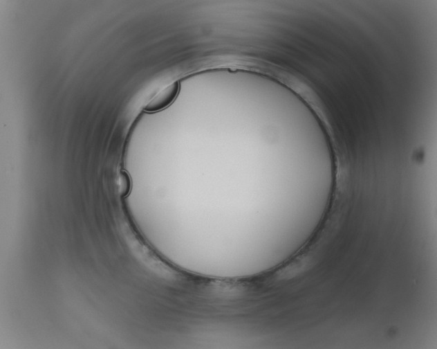 X0000112540954200909071418