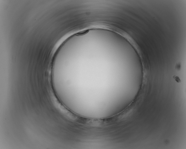 X0000112540955200909071418