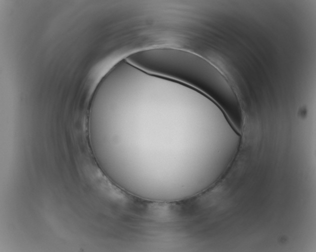 X0000112540956200909071418