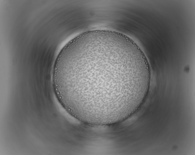 X0000112540957200909071418