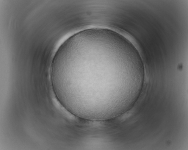 X0000112540958200909071418