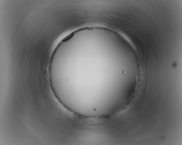 X0000112540959200909071418