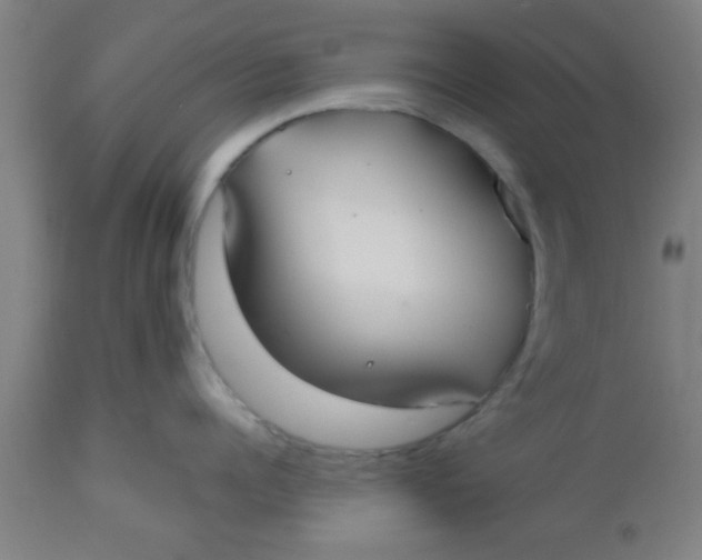 X0000112540960200909071418