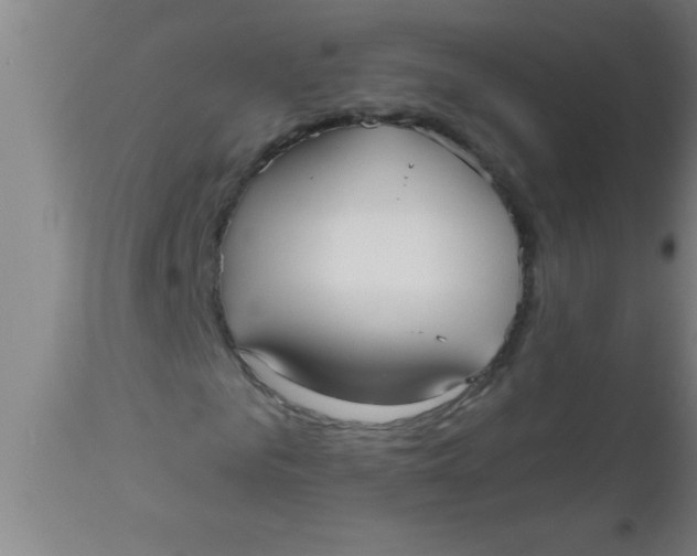 X0000112540961200909071418