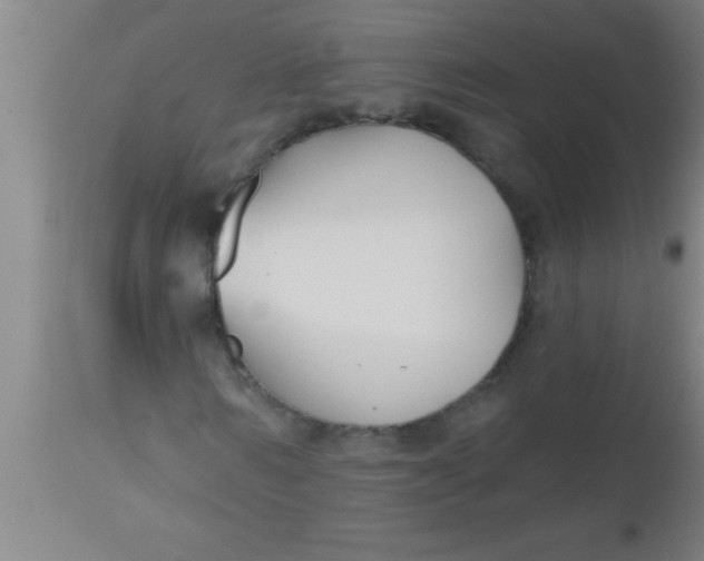 X0000112540962200909071418