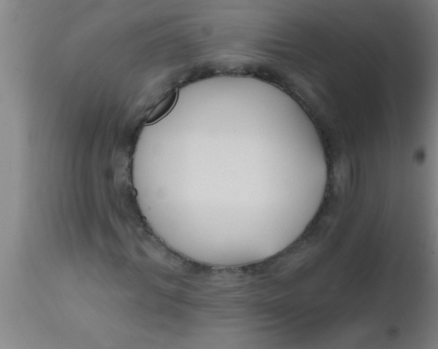X0000112540964200909071418