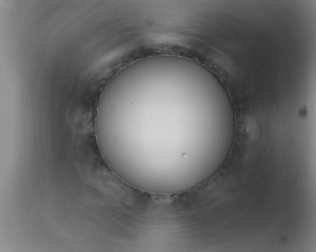 X0000112540965200909071418