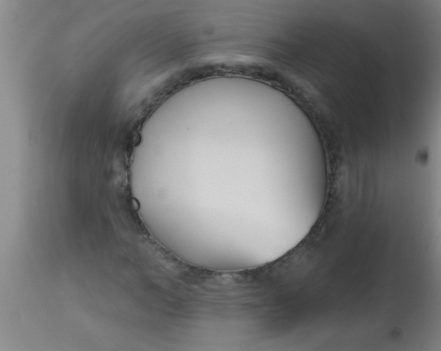 X0000112540966200909071418