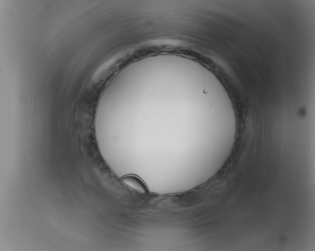 X0000112540967200909071418
