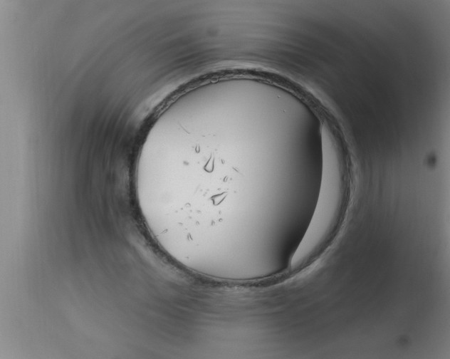 X0000112540969200909071418
