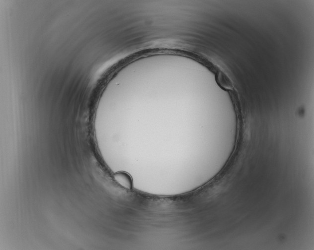 X0000112540971200909071418