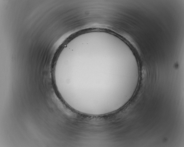 X0000112540972200909071418