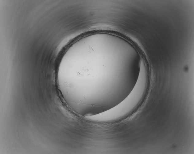 X0000112540973200909071418