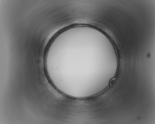 X0000112540976200909071418