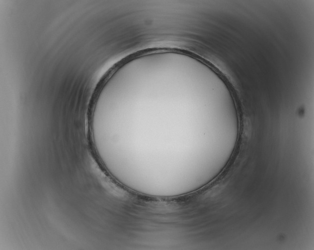 X0000112540980200909071418