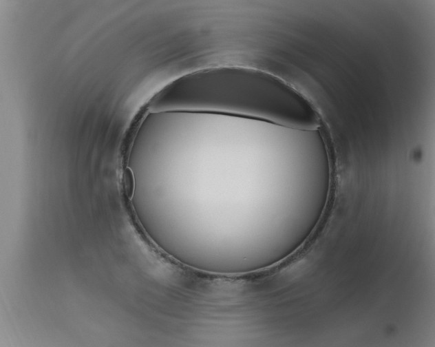 X0000112540981200909071418