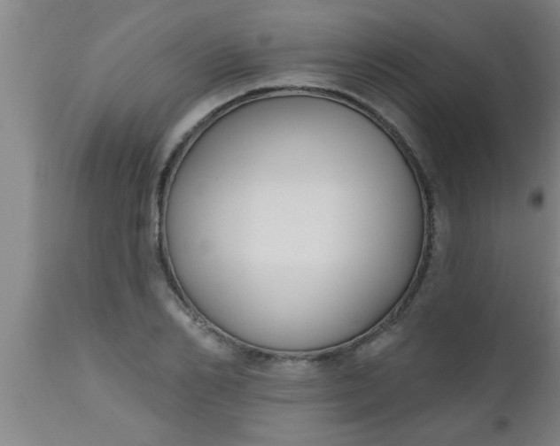 X0000112540982200909071418
