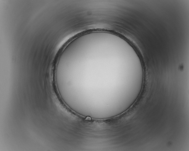 X0000112540983200909071418