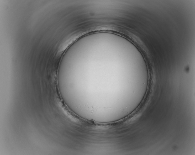 X0000112540985200909071417