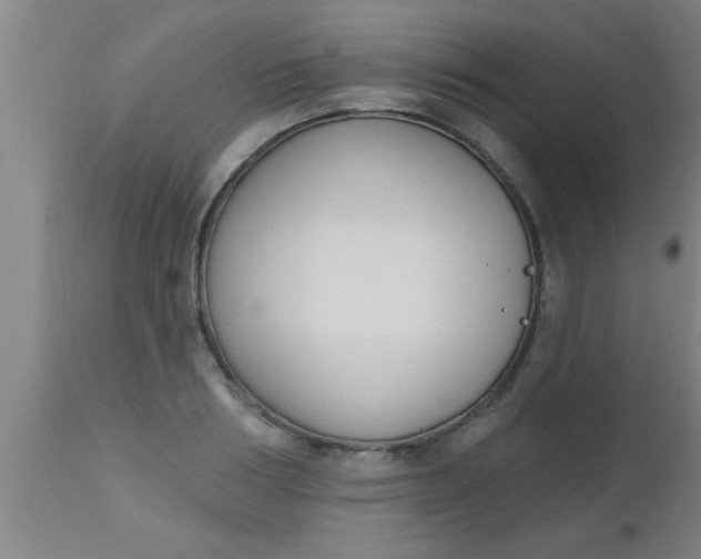 X0000112540986200909071417