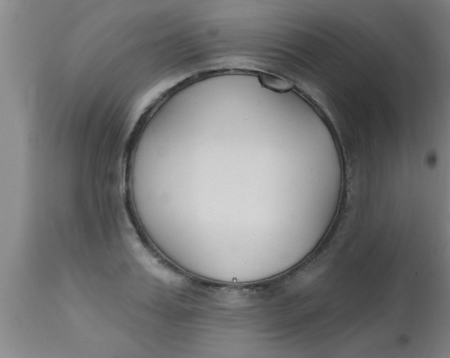 X0000112540987200909071417