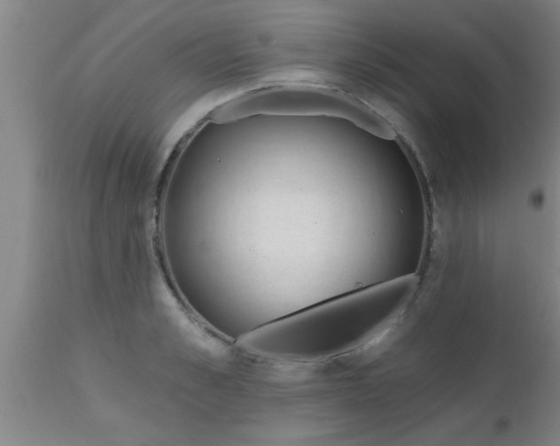 X0000112540989200909071417