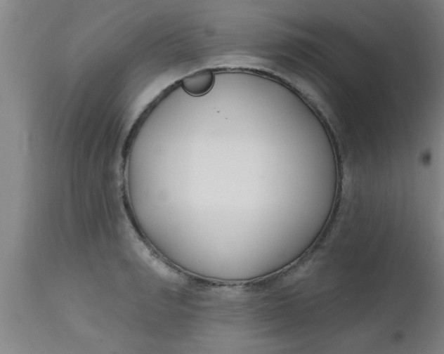 X0000112540990200909071417