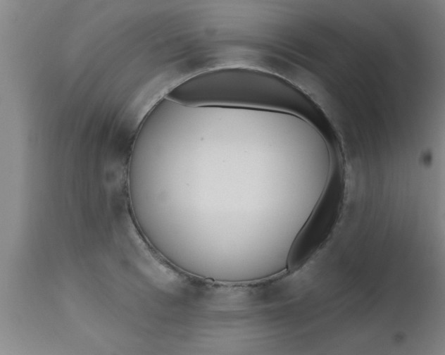 X0000112540993200909071417